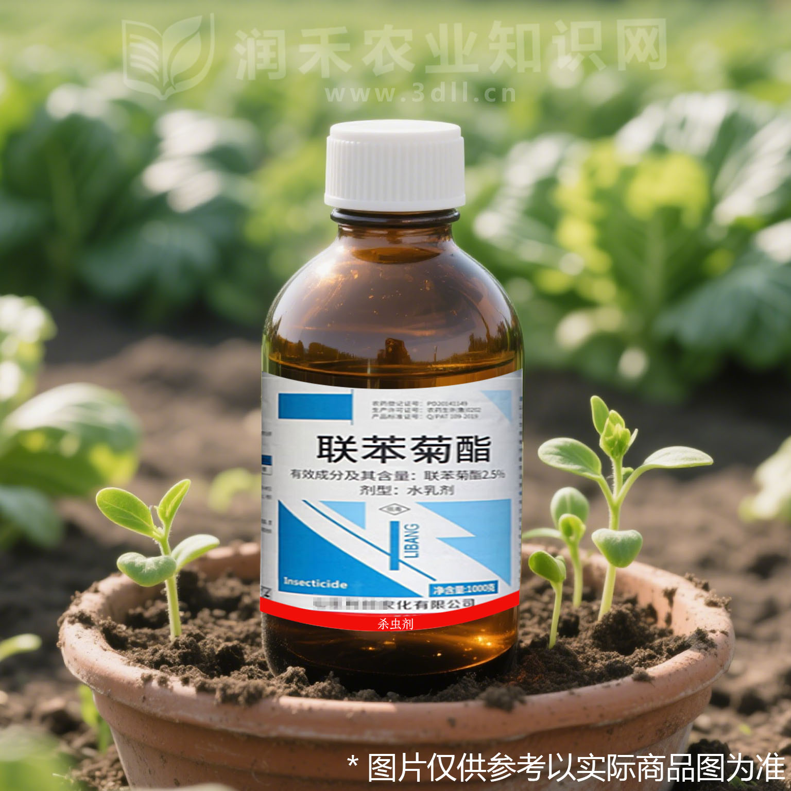 联苯菊酯-拟除虫菊酯类-中等毒