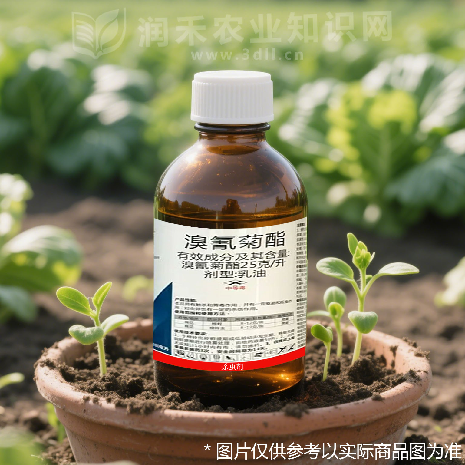 溴氰菊酯-菊酯类杀虫剂-中等毒
