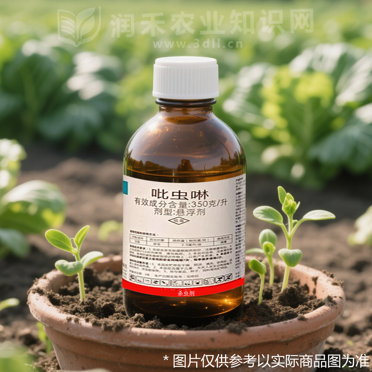 吡虫啉-烟碱类杀虫剂-低毒