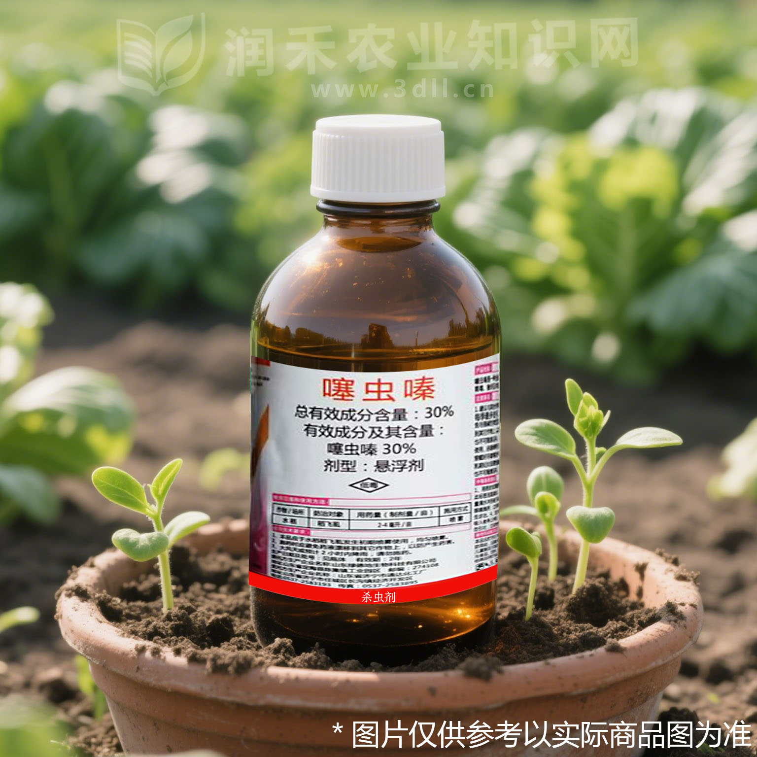 噻虫嗪-烟碱类杀虫剂-低毒