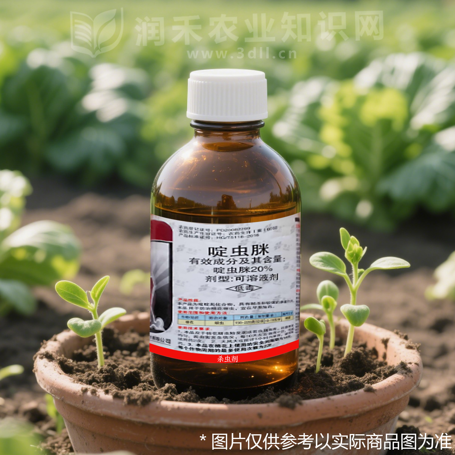 啶虫脒-新烟碱类-低毒