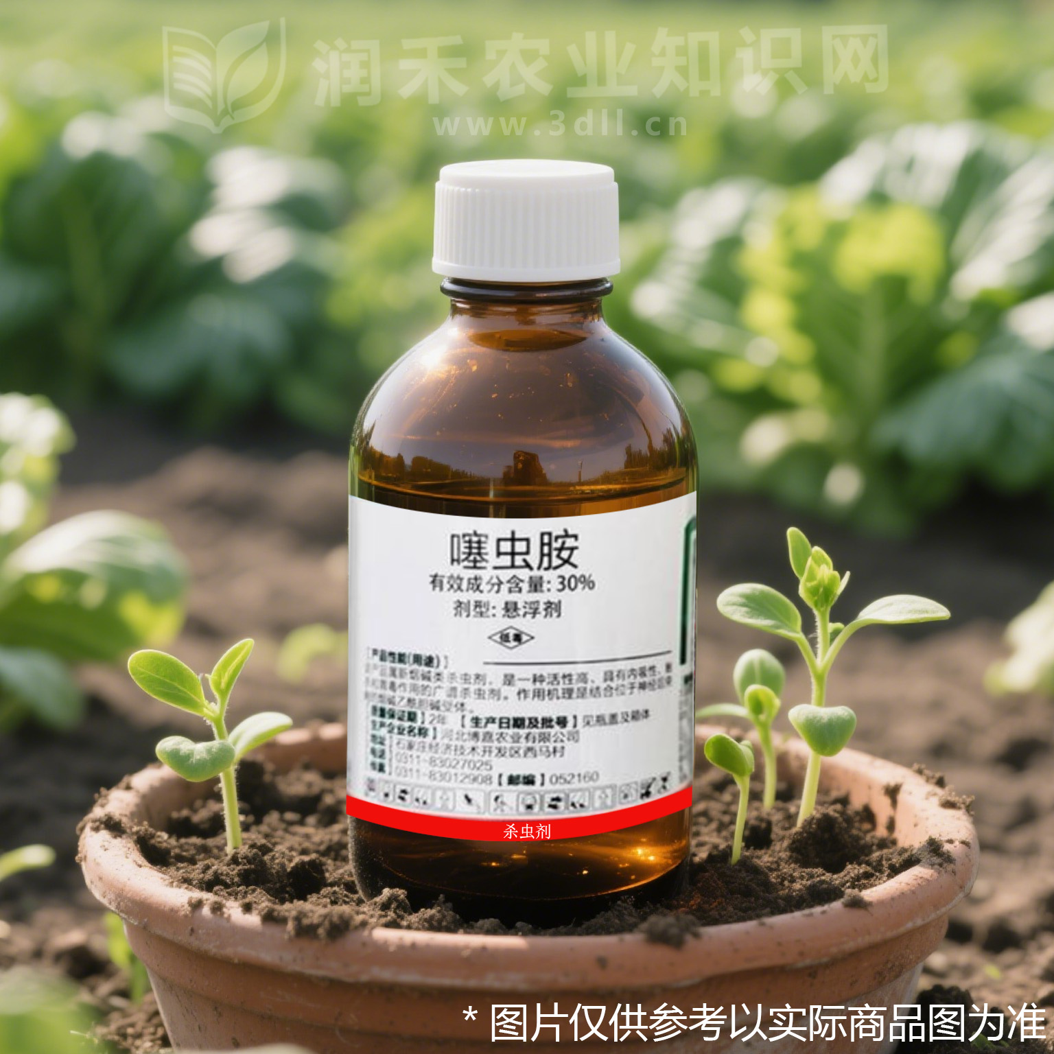 噻虫胺-新烟碱类-低毒